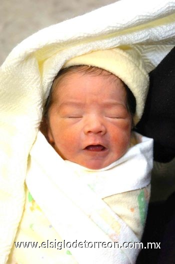 17042010 Luis Carlos Reynoso Zubiría.