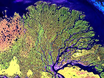 Delta del río Lena en Siberia.