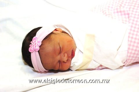 08052010 Andrea.