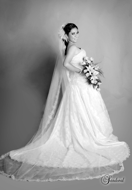 M.C. Rosa María Reynoso Orozco, el día de su boda con el IBQ. Alejandro Estrada García.-

Sandoval Fotografía