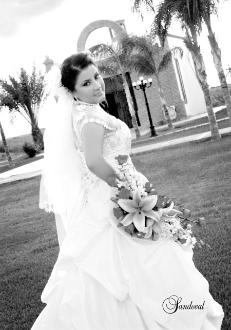 Srita. Blanca Gema Nava Ochoa e Ing. Carlos Ernesto Reveles Valderas el día que unieron sus vidas.

Sandoval Fotografía