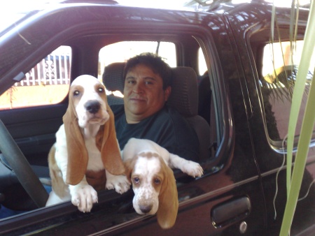 Poncho y cuco camada, agosto 2010.