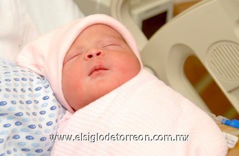 25122010 Camila Rodríguez Frías.