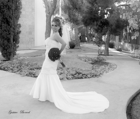 Srita. María Teresa Ramos Moncada, el día en que unió su vida a la del Sr. Francisco Alejandro Gutiérrez Palacios.-

Gustavo Borroel Fotografía
