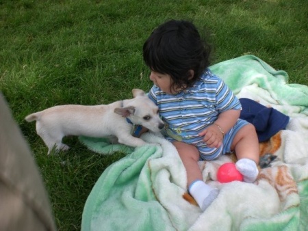 BOLT y el pequeño Justin.
