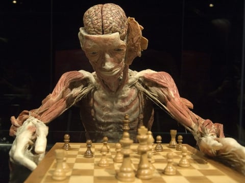 Los cuerpos “plastinados” serán exhibidos en Basilea.