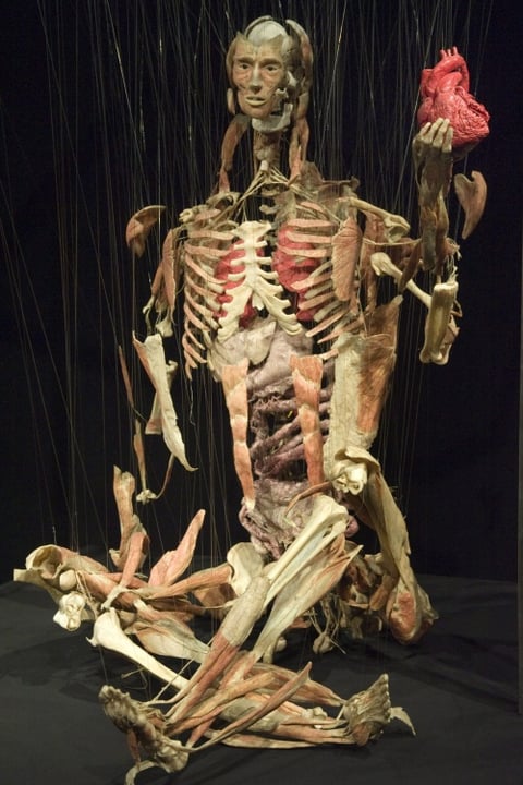 El eje temático versa esta vez sobre el órgano motor del cuerpo humano.