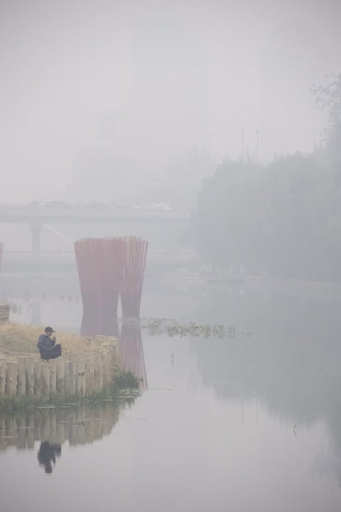 Autoridades de medio ambiente de la ciudad no quieren oír hablar del asunto.