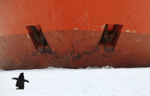 El buque permanece detenido incrustado en una placa de hielo mientras se espera que mejoren las condiciones climatológicas para poder acercarse a la Cabaña en helicóptero.