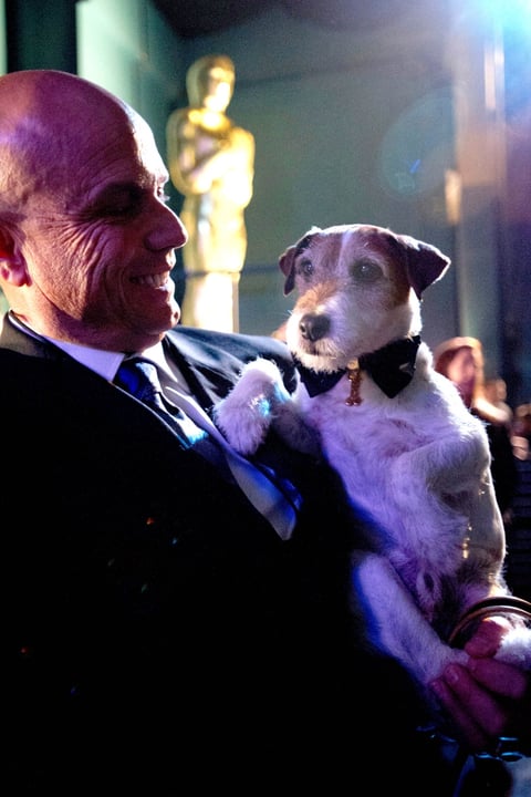 El perro 'Uggie' robó las miradas en la 84 entrega de los Oscares.
