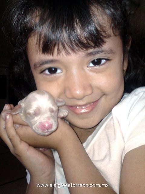 14032012 HOY  festeja seis años de edad la pequeña Keyra Dávila Montoya.