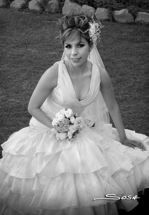 LIC. SELENE  Márquez Ortega el dí­a de su boda con M.V.Z. Jesús Hernández Ruiz.-


Studio Sosa