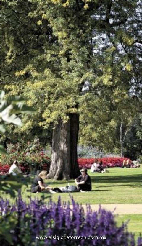 20042012 UNA  de las opciones favoritas de los londinenses es ir a un parque a hacer un picnic, andar en bici, pasear al perro o simplemente broncearse. Y para ello tienen el Hyde Park.
