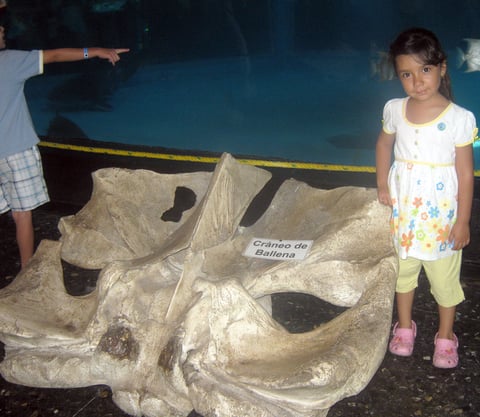 Ingrid Luevanos Morales en su reciente viaje a Mazatlán Sinaloa, en el acuario de la ciudad.