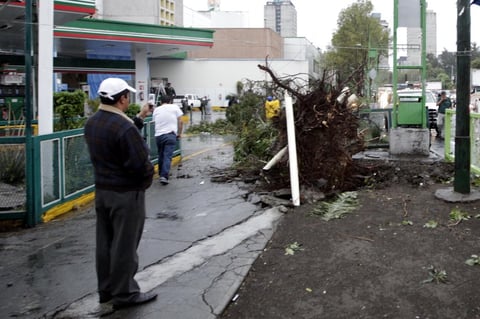 Además, se desplomó el techo de una gasolinera ubicada en Poniente 112 y Politécnico, dañando dos vehículos que cargaban combustible.