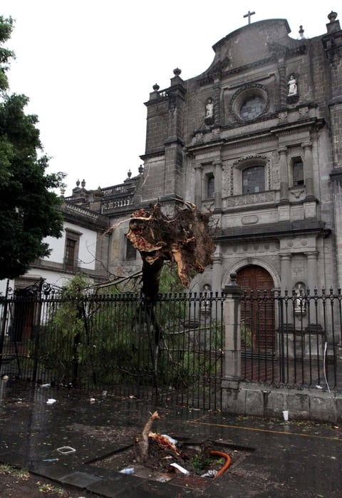 Entre las afectaciones por el viento y la lluvia están 102 árboles y 8 espectaculares caídos.