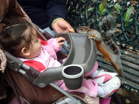 Frida Pérez Bocanegra dando de comer a las ardillas, en Chapultepec.