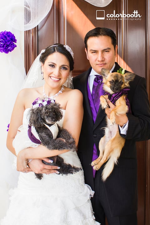 ING.  Lupita López García y Dr. Fabián Equihua Guillén, recibieron la bendición nupcial el sábado 23 de junio de 2012. Ellos son hijos de los señores Norá Equihua Ruiz y María Guillén de Equihua; Ricardo López Castillo y Josefina GarcÃ­a de López. Colorbooth Fotografía.