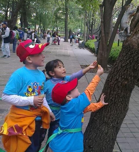 CARLITOS, Bemys y Mateo de paseo en la Alameda.
