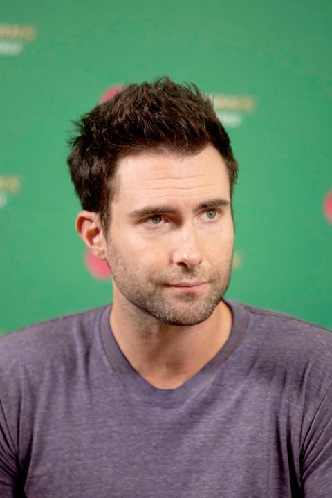 Los fans de México "probablemente son los mejores que hemos tenido en el mundo", dijo el vocalista del grupo estadounidense, Adam Levine, en una breve conferencia de prensa .