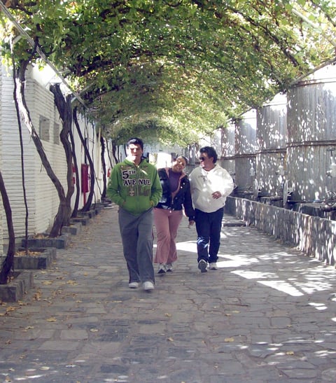 Parras.