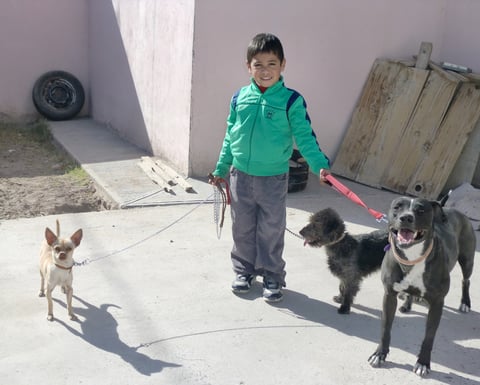 The Dog Whisperer! (3 añitos)