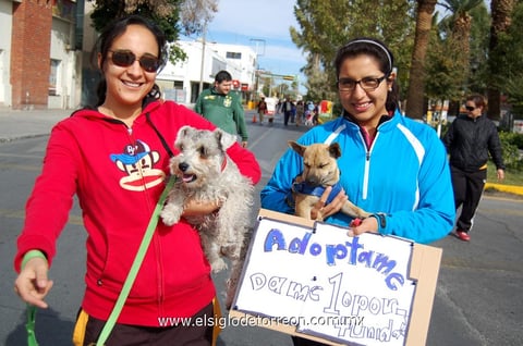 14012013 CONCEPCIÃ³N  y Denisse buscando hogar para dos cachorros.