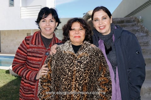 18012013 CLAUDIA , Perla y Silvia.