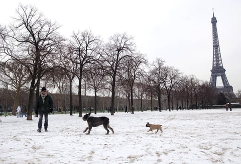 París se tiñó de blanco una una fuerte nevada que dejó una increíble vista de los monumentos más emblemáticos de la capital francesa.