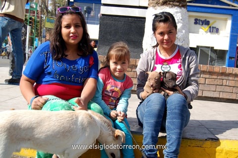 24012013 CON MASCOTAS.  Sofía, Paola y Margarita.