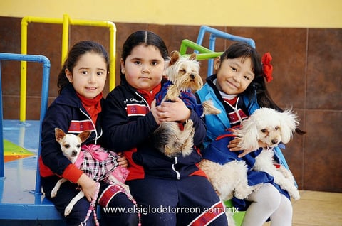 Valeria con su mascota Mimí, Romina con su mascota Petit y Hanna con su mascota Tohuito.