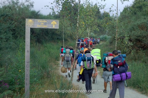 Peregrinos de todo el mundo, los que realizan el recorrido de Santiago de Compostela.