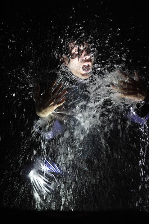 El performance cuenta con las actuaciones de Ignacio De Santis, Eugenia Di Marco, Diego Echegoyen, Eliana Espasande, Juan Guiraud, María Eugenia Kochian, Leonardo Kreimer, Federico Mackinze, Tomas Middleton, Paola Nicodemi, Sebastián Prada, Ana Romans y Juan Manuel Romero.