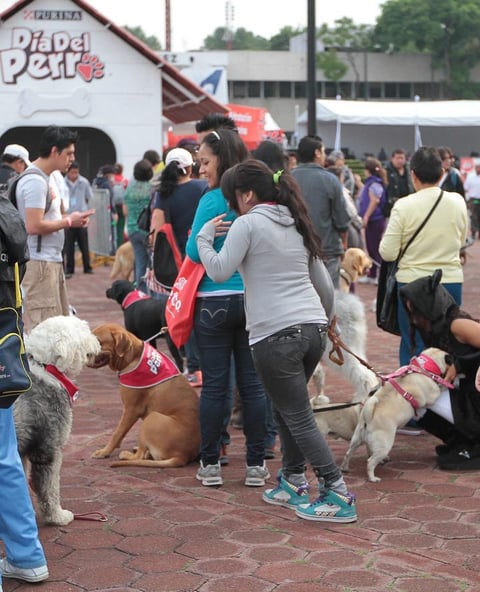 Los asistentes tuvieron la oportunidad de convivir con sus perritos en los diferentes stands.