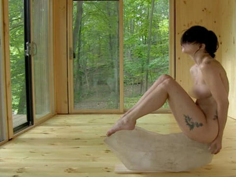 Si se trata de llamar la atención con su campaña, el Instituto Marina Abramovic lo ha logrado gracias a un video en el que la cantante Lady Gaga aparece totalmente desnuda y del cual se filtraron imágenes esta semana.