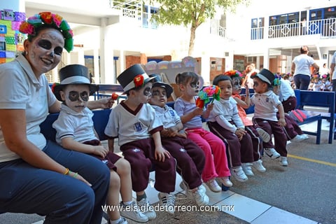 Grupos | Noviembre 2013