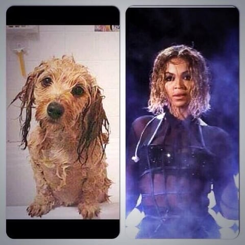 Beyoncé fue motivo de burlas por el look que presentó en el acto inaugural de la ceremonia de premiación, sobre todo por su cabellera que fue comparada con la de un perrito recién bañado.