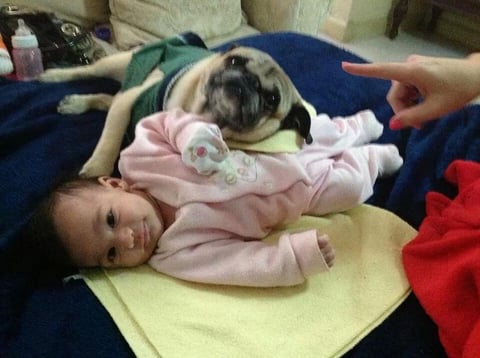 Thaly y Poncho