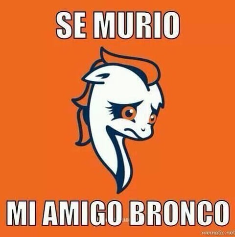 Una gran cantidad de memes han surgido en las redes sociales en torno a la celebración del Super Bowl XLVIII, en el que en su mayoría se burlan de la derrota de los Bronocos así como también del show de medio tiempo.