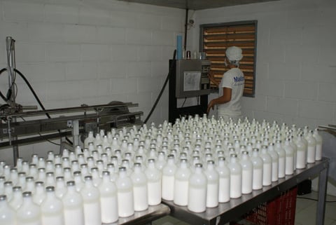 En su planta de produce, opera y controla la distribución de sus productos.