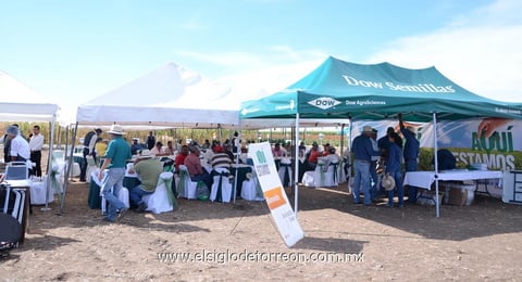 27072014 Personal de Daw Semillas e invitados disfrutando de reunión.