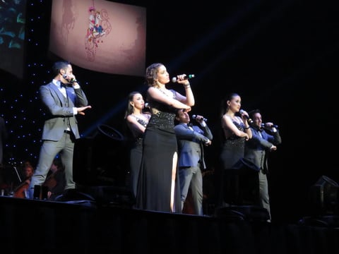Hiromi Hayakawa, Liesl Lar, Fernando Soberanes, Marco Salazar, Melisa Alcántara e Israel Estrada, fueron los talentos que dieron voz a los éxitos de Disney.