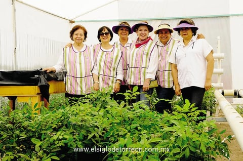 28092014 Club de Jardinería Violeta.