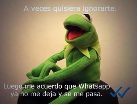 Algunos 'listillos' no contestaban mensajes de sus contactos y fingían que no los habían visto...