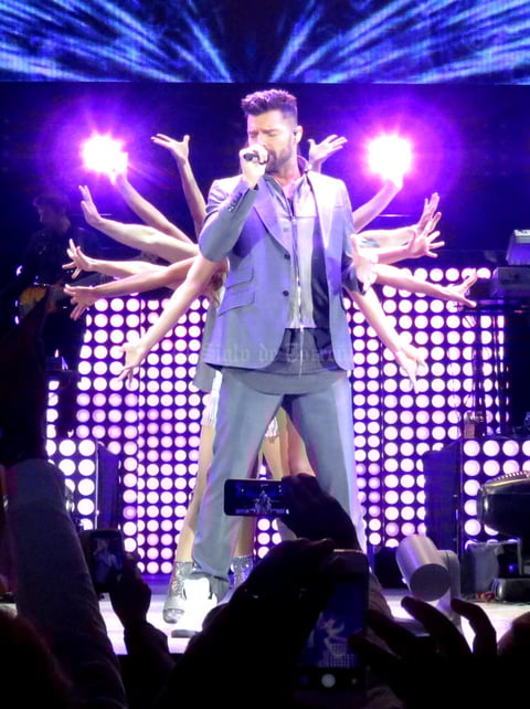 Al dar las 9:30 de la noche la espera terminó. Una cortina blanca cayó en el escenario y Ricky apareció vestido de gris ocasionando un grito eufórico de sus fanáticos de todas las edades.
