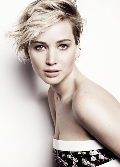 Por un lado, The Hunger Games, que este año estrenó su tercera parte, y Mockingjay, que lleva recaudados 669 millones de dólares en todo el mundo. Lawrence asume casi en solitario el protagonismo de la cinta, que tiene previsto el estreno de otro filme para 2015.