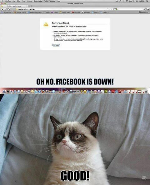 No pudo faltar el humor del "Grummpy Cat".