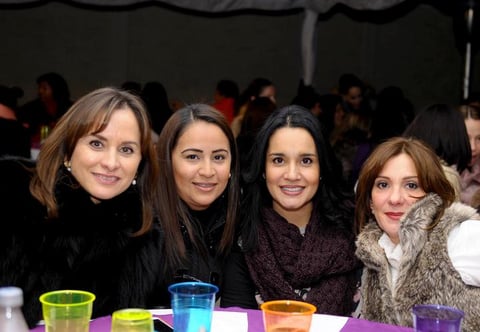 Pilar, Deyanira,Claudia y Fernanda.