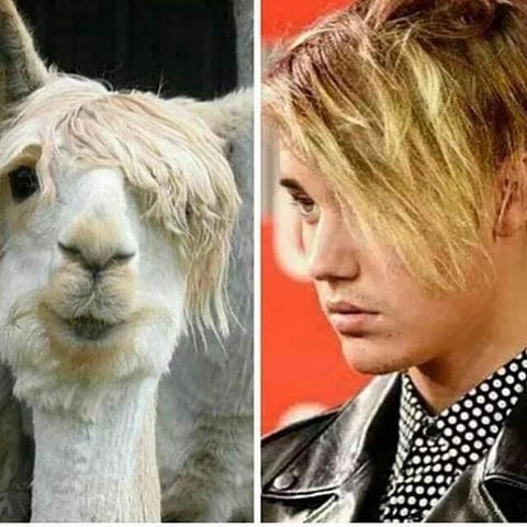 El nuevo "look" de Justin Bieber fue muy criticado.