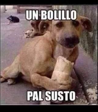 Los memes abundaron en la red tras el susto.